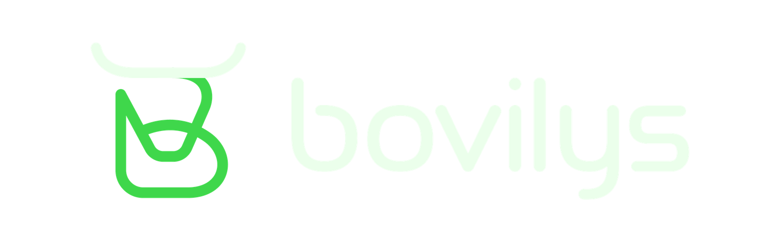 Bovilys