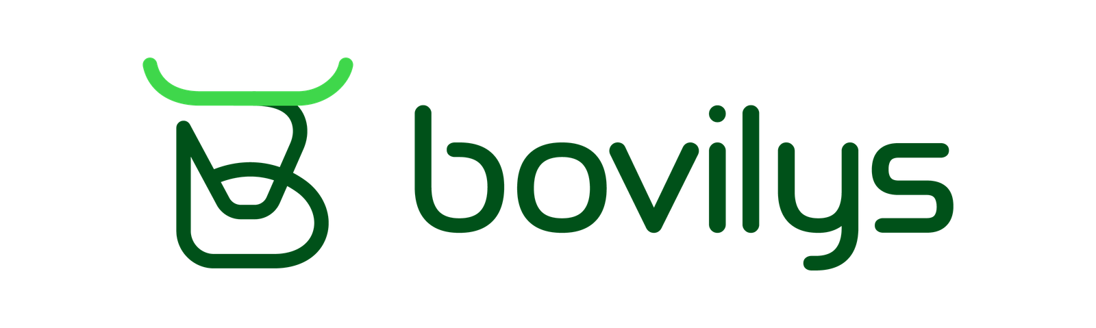 Bovilys